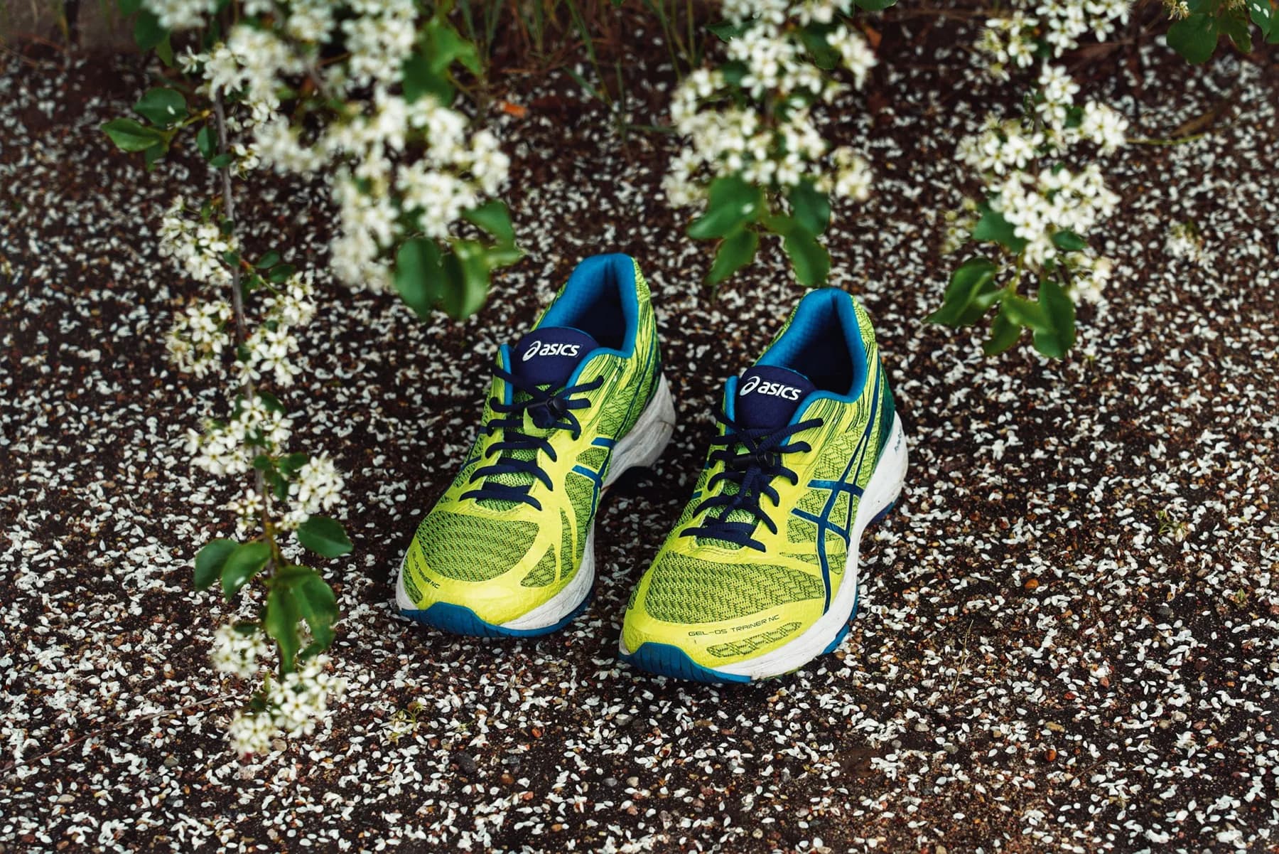 7 Key Signs It’s Time to Retire Your Shoes