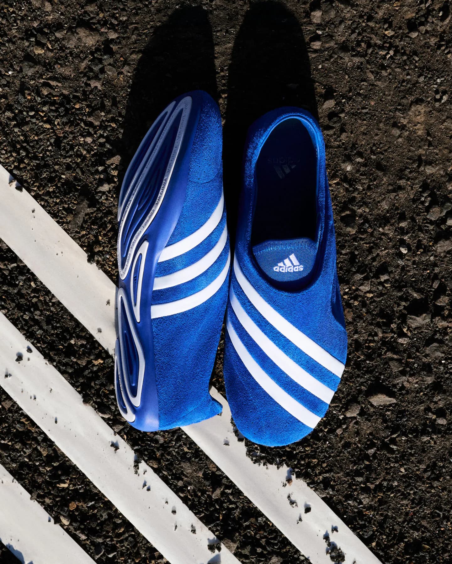adidas Originals and Pharrell Expand the Virginia Vario FLAT EARTHER Universe — additional view 3
