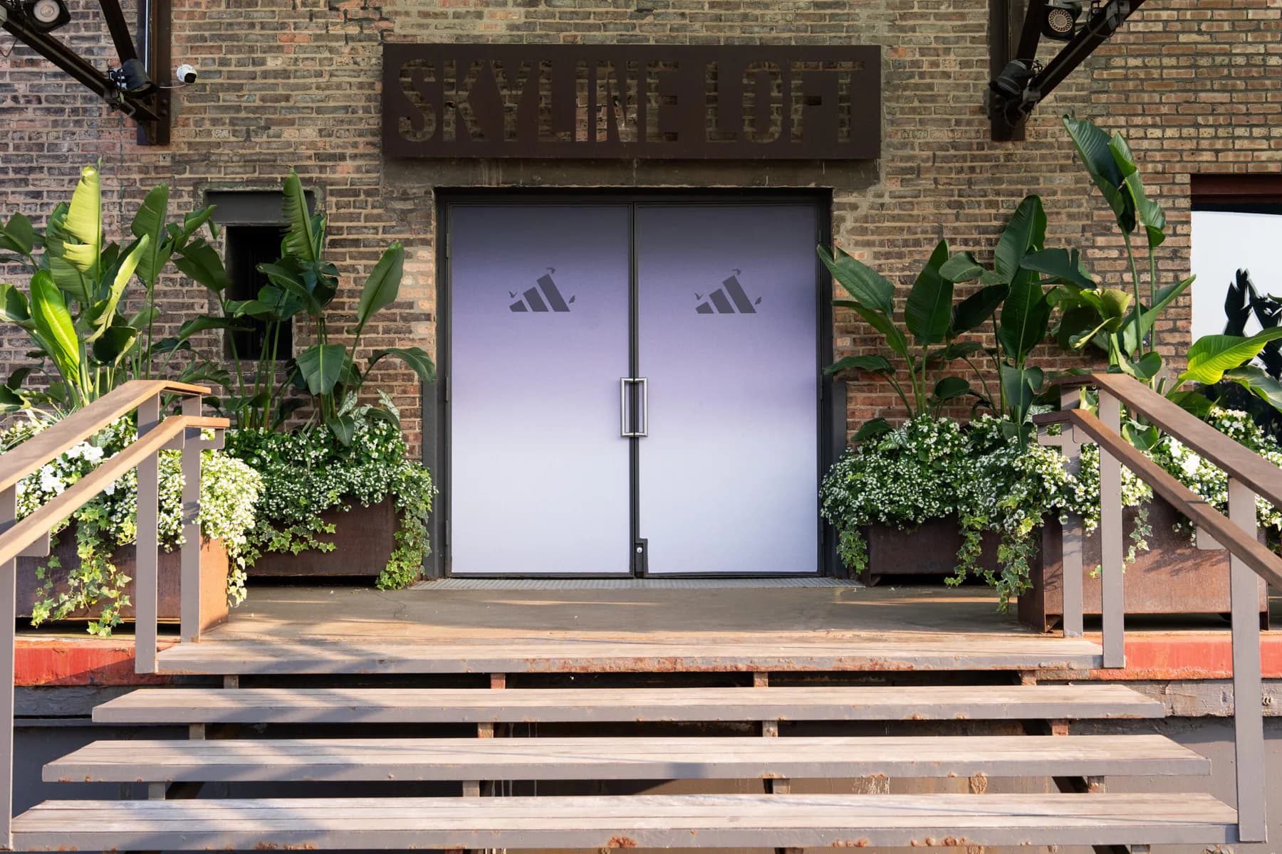 adidas Turns WNBA All-Star Weekend Into a Platform for Long-Term Investment — additional view 3