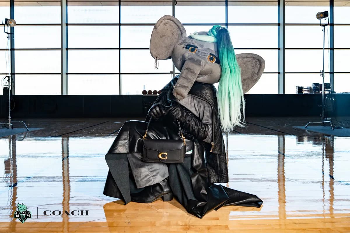 Coach Partners with New York Liberty to Elevate WNBA Style Culture