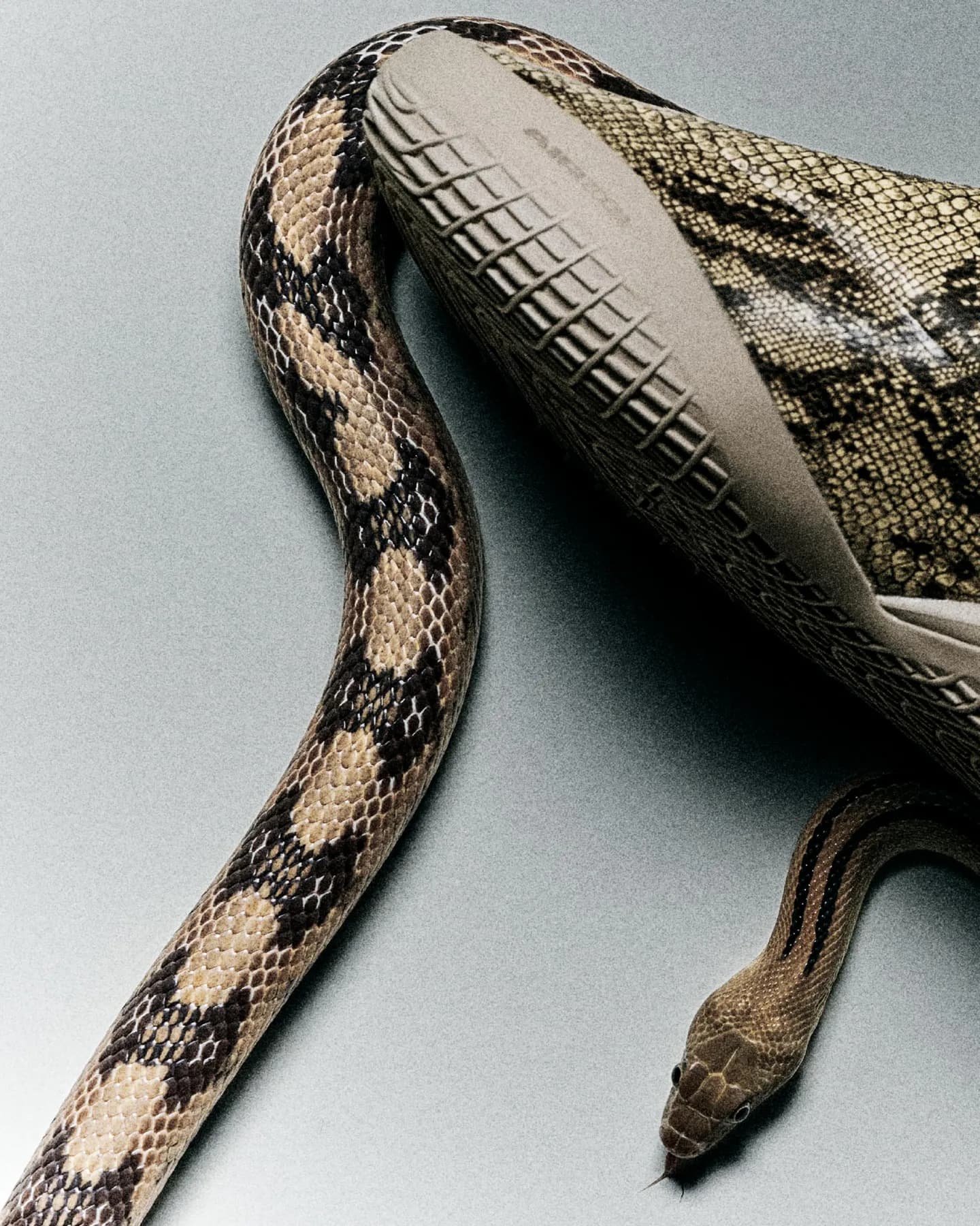 Converse Unveils SHAI 001 Premium Signature Sneaker for Shai Gilgeous-Alexander — additional view 3