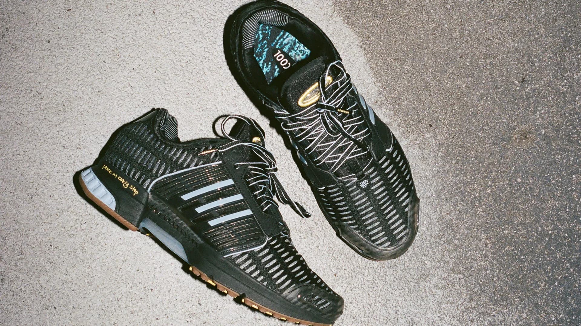 adidas Originals and Always Do What You Should Do CLIMACOOL 1 sneakers on a concrete surface
