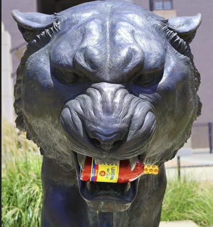 Louisiana Hot Sauce Becomes Official Hot Sauce of LSU Athletics