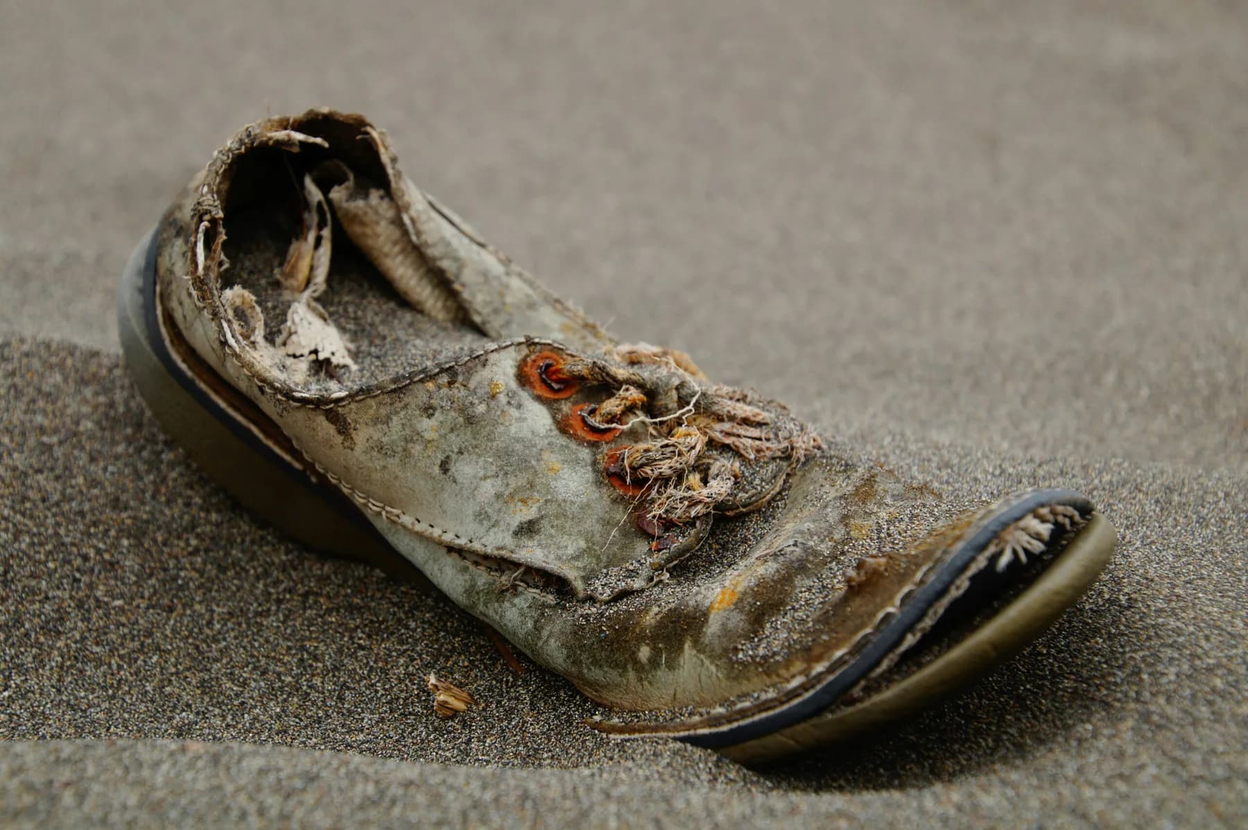 World’s First Shoes Traced Back 10,000 Years as Footwear Evolution Uncovered 2025