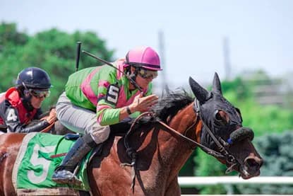 The Engineering of an Icon: What The Modern Jockey’s Boot Tells Us About Performance