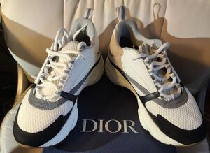 Dior B22
