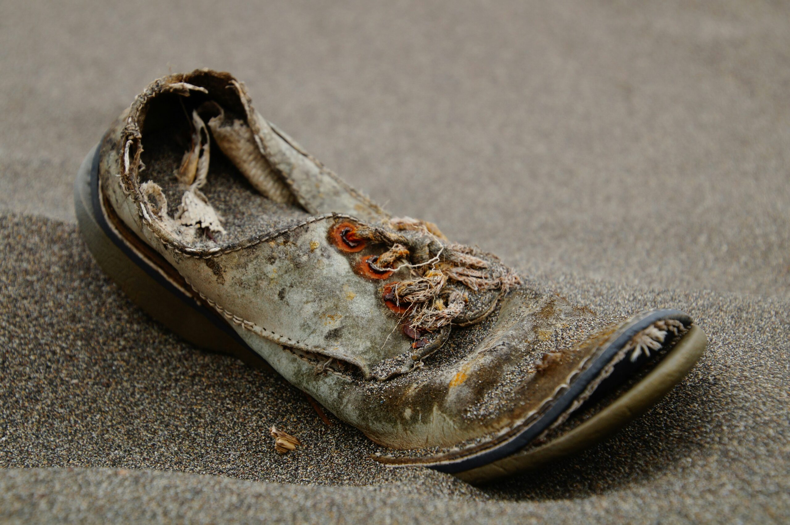 World’s First Shoes Traced Back 10,000 Years as Footwear Evolution Uncovered 2025