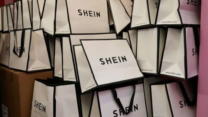 New EU Customs Rules Will Add Around €5 Per Parcel to Shein and Temu Orders
