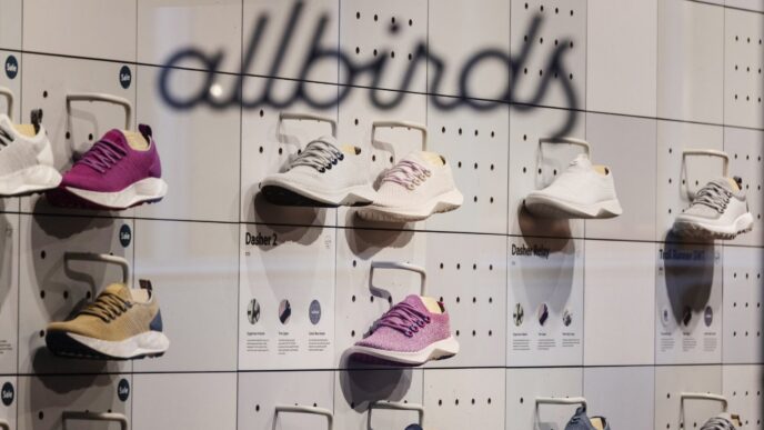 Allbirds Stock Jumped 582% in One Day After Rebranding Itself as NewBird AI